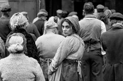 FILMOVÝ KLUB - Dívka s jehlicí